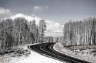 USA-Utah-west of Woodruff aspen trees along highway 39 Art Print